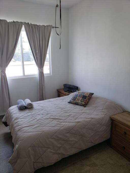 Petit Y Comodo Loft En La Ciudad. Monterrey Buitenkant foto